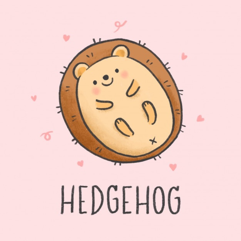 ISO or Seller Hedgehog Merchandise 🦔